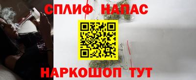 сатива Жуковский