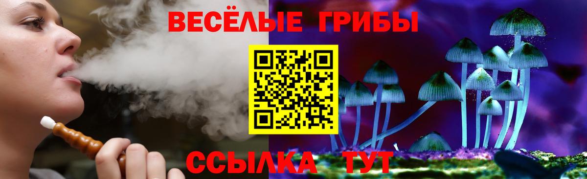 Лесосибирск  Псилоцибиновые грибы MAGIC MUSHROOMS  Галлюциногенные грибы ЛСД  Вход с VPN 